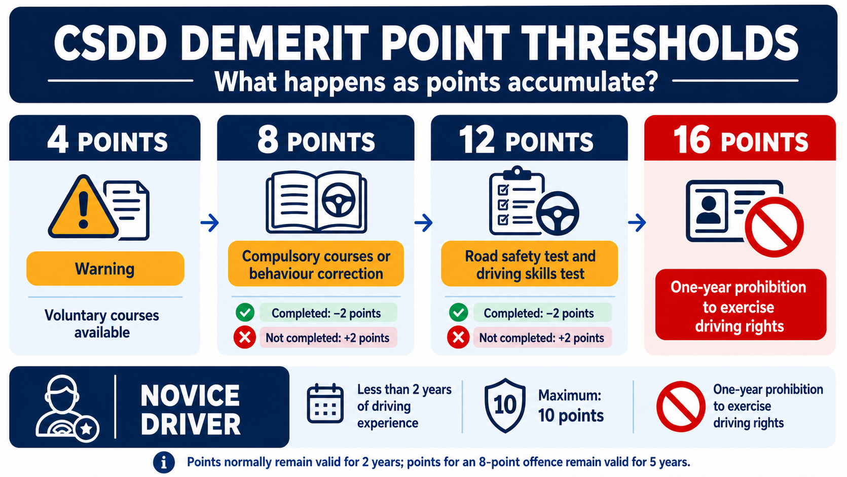 CSDD Penalty Point Thresholds – Consequences at 4, 8, 12, and 16 Points